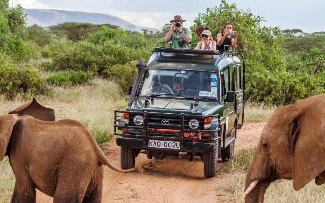 Best wildlife tours: Immerse yourself in nature