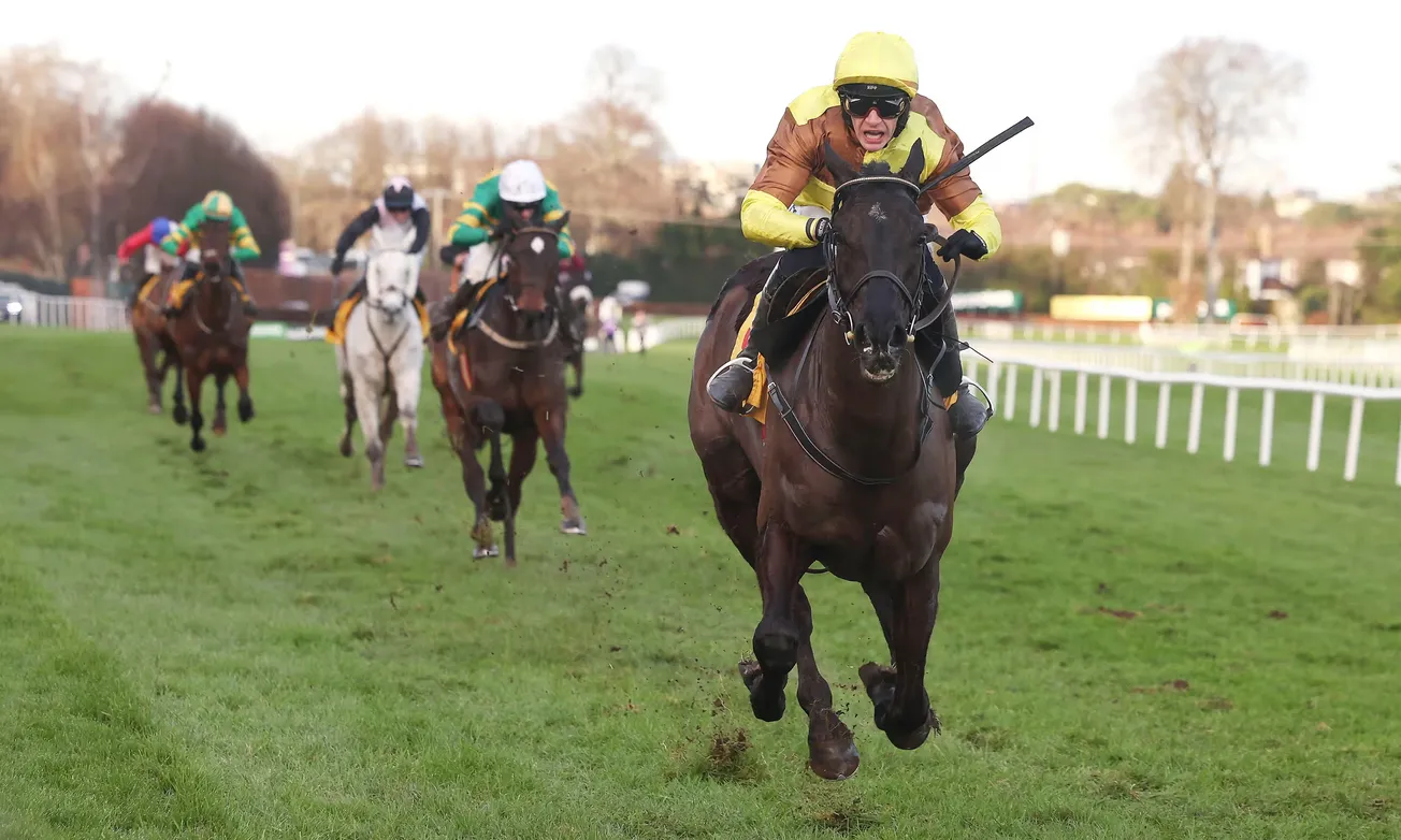 Galopin Des Champs cruises to victory at Leopardstown, eyes Gold Cup three-peat